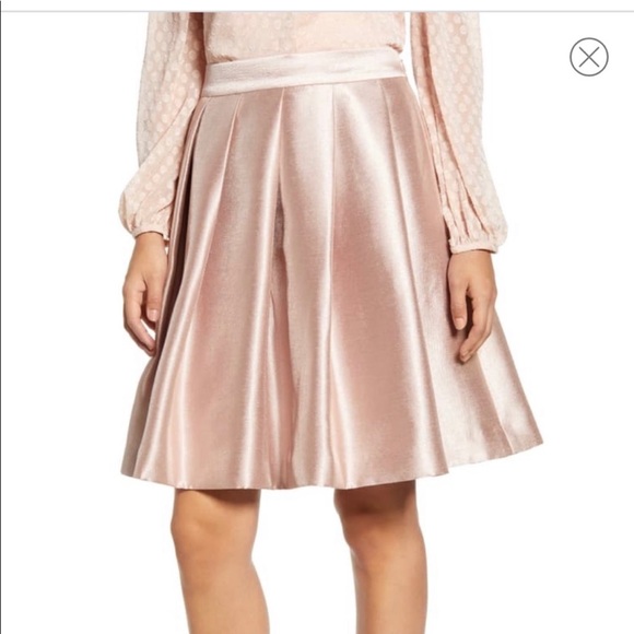 Rachel Parcell Dresses & Skirts - Rachel Parcell Pink Full Twill Pleated Skirt NWT
